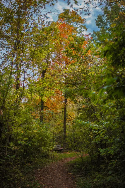 Nature portfolio photograph: _DSC9315.jpg