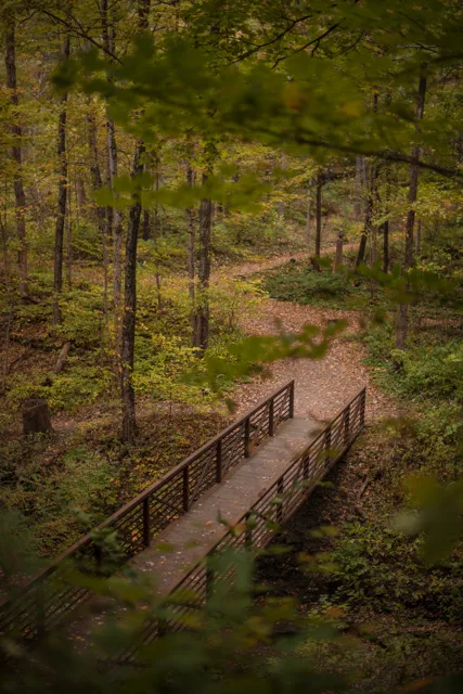 Nature portfolio photograph: _DSC4383.jpg
