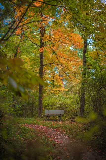 Nature portfolio photograph: _DSC9323.jpg