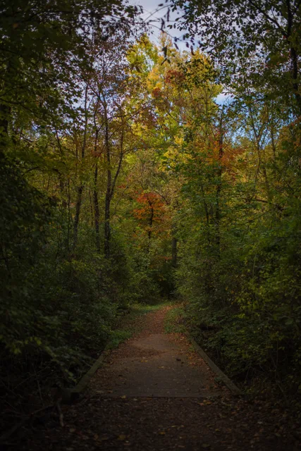 Nature portfolio photograph: _DSC9302.jpg